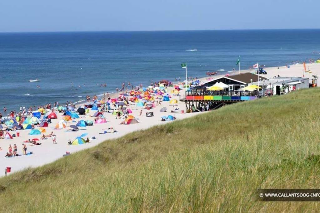 Chalet + Tiny House Nabij Strand Petten Luaran gambar